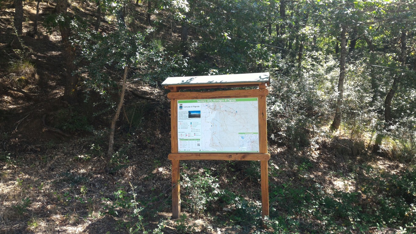 P_20160809_114401 .jpg
